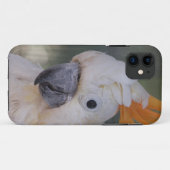 Gelber Cockatoo mit Haube (iPhone 5 Fall) Case-Mate iPhone Hülle (Rückseite (Horizontal))