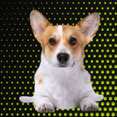 Gelber Corgi-liebender Golfer Golf Headcover