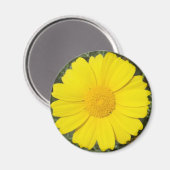 Gelber Daisy-Magnet Magnet (Vorderseite/Rückseite)