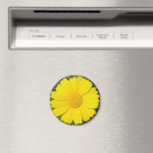 Gelber Daisy-Magnet Magnet (In Situ (Geschirrspüler))