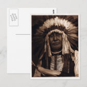 Gelber Eule Postkarte (Vorne/Hinten)