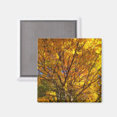 Gelber Fall Foliage Magnet (Vorderseite/Rückseite)