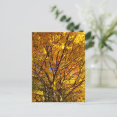 Gelber Fall Foliage Postkarte (Stehend Vorderseite)