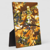 Gelber Fall Fotoplatte (Seite)