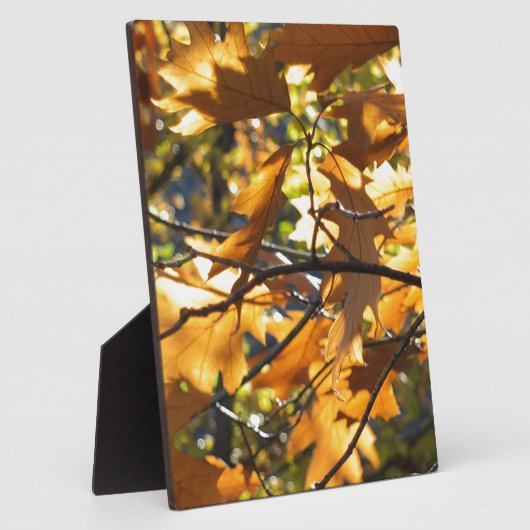 Gelber Fall Fotoplatte (Seite)