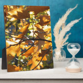 Gelber Fall Fotoplatte (Seite)