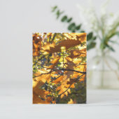 Gelber Fall Postkarte (Stehend Vorderseite)