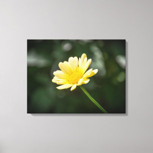 Gelber Farbtupfer naher Leinwand