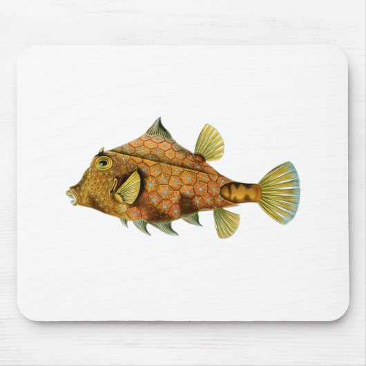 Gelber Fisch Mousepad (Vorne)