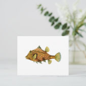Gelber Fisch Postkarte (Stehend Vorderseite)