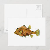 Gelber Fisch Postkarte (Vorne/Hinten)