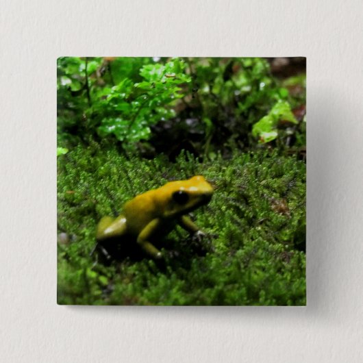 Gelber Frosch Button (Vorderseite)
