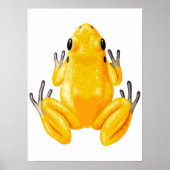Gelber Frosch Digital Print | Froschwand Poster (Vorne)
