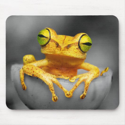 Gelber Frosch Mousepad (Vorne)