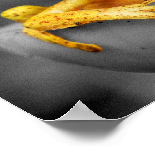 Gelber Frosch Poster (Ecke)