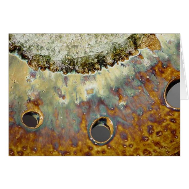 Gelber Frühling (Vorderseite (Horizontal))