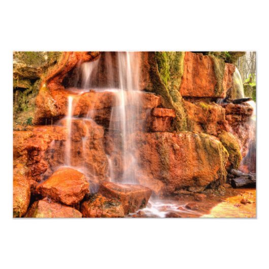 Gelber Frühling, Naturreservat Glen Helen, Ohio Fotodruck (Vorne)