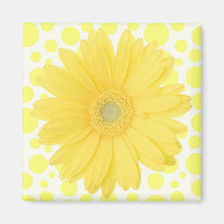 Gelber Gänseblümchen-Magnet Magnet