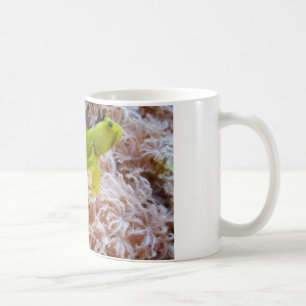 Gelber Garnkröse Kaffeetasse