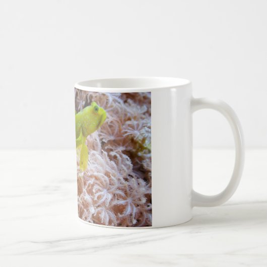 Gelber Garnkröse Kaffeetasse (Rechts)
