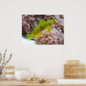 Gelber Garnkröse Poster (Küche)