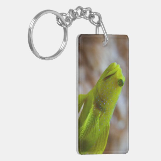 Gelber Garnkröse Schlüsselanhänger (Vorderseite links)