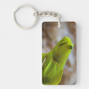 Gelber Garnkröse Schlüsselanhänger