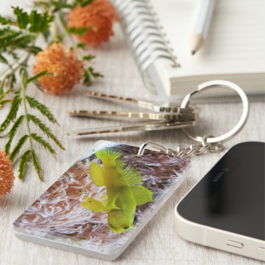 Gelber Garnkröse Schlüsselanhänger (Vorderseite rechts)