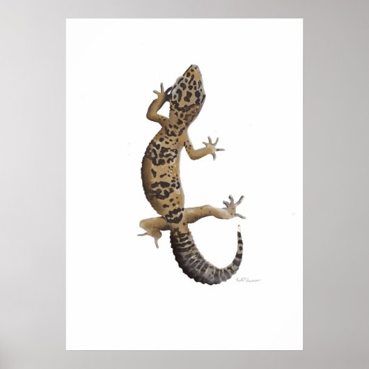 Gelber Gecko Poster (Vorne)