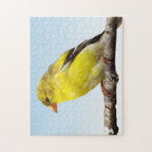 Gelber Goldfinch-Vogel auf blauem Puzzlespiel Puzzle (Vertikal)