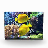 Gelber Hawaiianfisch Fotoblock (Vorderseite)