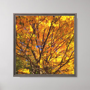 Gelber Herbstlaub Leinwanddruck