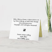 Gelber Hibiskus Bloom Karte (Rückseite)