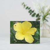 Gelber Hibiskus Blume Postkarte (Stehend Vorderseite)