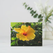 Gelber Hibiskus Blume Postkarte (Stehend Vorderseite)