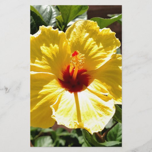 Gelber Hibiskus Briefpapier (Vorderseite)