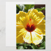 Gelber Hibiskus Briefpapier (Vorne/Hinten)