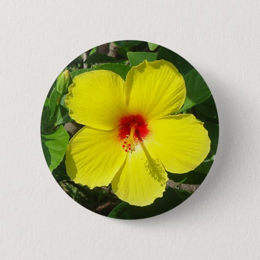 Gelber Hibiskus Button (Vorderseite)