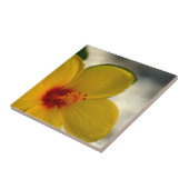 Gelber Hibiskus Fliese (Seite)