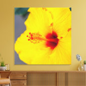 Gelber Hibiskus Leinwanddruck (Insitu (Wohnzimmer))