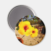 Gelber Hibiskus Magnet (Vorderseite/Rückseite)