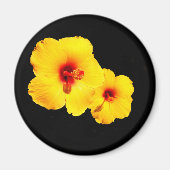 Gelber Hibiskus Magnet (Vorne)
