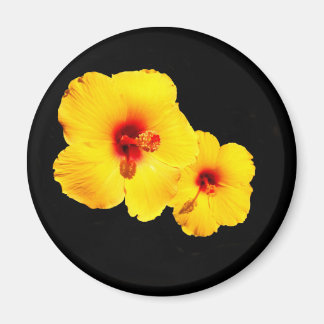 Gelber Hibiskus Magnet
