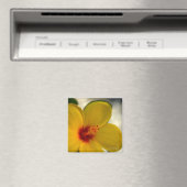 Gelber Hibiskus Magnet (In Situ (Geschirrspüler))