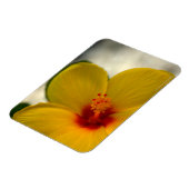Gelber Hibiskus Magnet (Linke Seite)