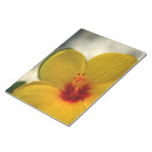 Gelber Hibiskus Notizblock (angewinkelt)