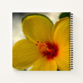 Gelber Hibiskus Notizblock (Rückseite)