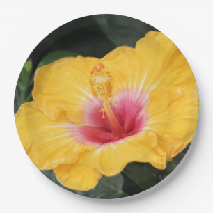 Gelber Hibiskus Pappteller