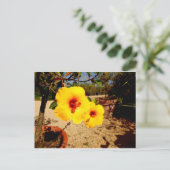 Gelber Hibiskus Postkarte (Stehend Vorderseite)