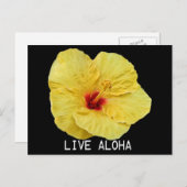 Gelber Hibiskus Postkarte (Vorne/Hinten)